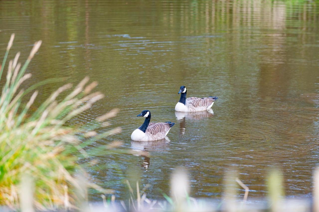 Beautiful Willow Lodge 67-4-6 Persons-Private Hot Tub-Pet Friendly-Tranquil Holiday Away From It All Yet Not Far To St Austell-The Holiday Home Has Two Bedrooms, Living & Dining Area, Equipped Kitchen -Decking-Al Fresco Dining-Fishing Lakes-Pet Frien Grampound Exterior photo